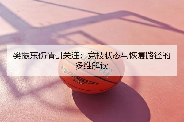 樊振东伤情引关注：竞技状态与恢复路径的多维解读